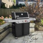 PLINSKI ŽAR WEBER GENESIS E-325 - slika 2